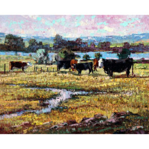 Home on the Range
