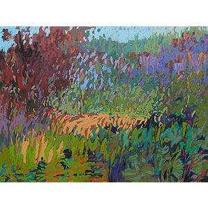 Color Field 72