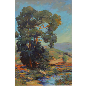 Afternoon at Clear Creek